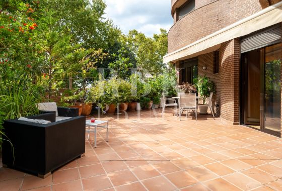 Available - Apartment - Palma