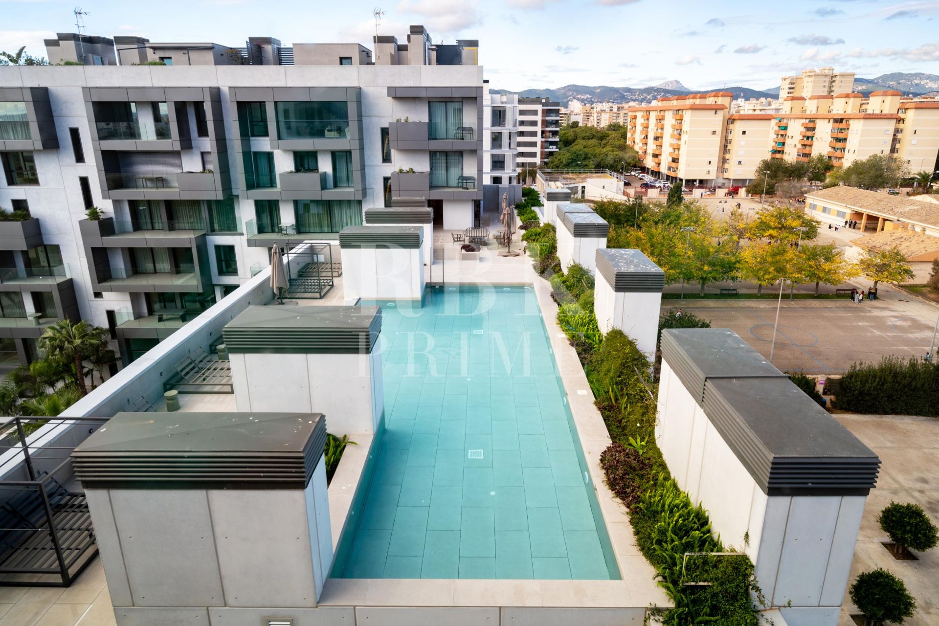 Available - Penthouse - Palma