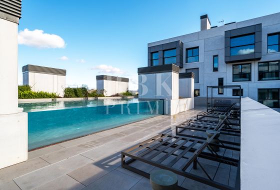 Penthouse · Available - Palma