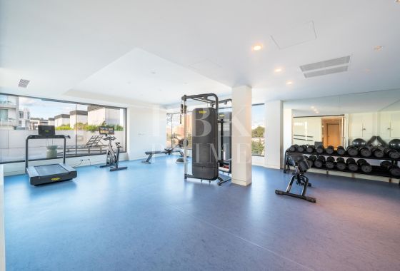 Penthouse · Available - Palma