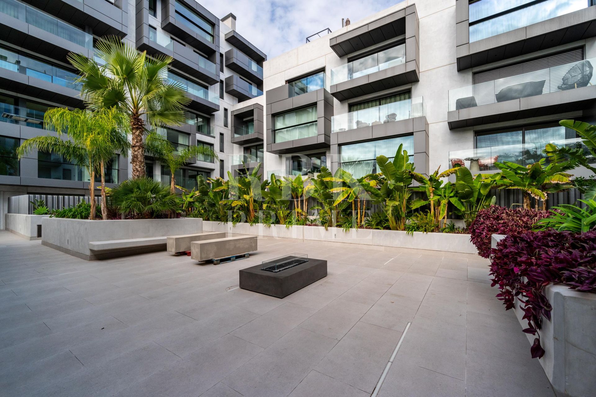 Available - Penthouse - Palma
