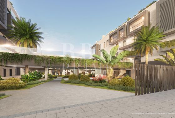 Apartment · Available - Palma