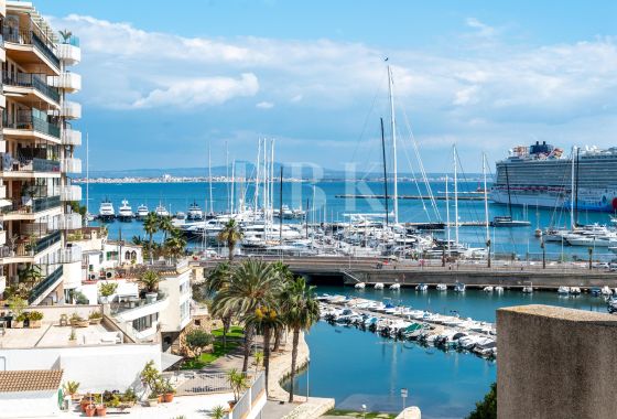 Penthouse · Available - Palma