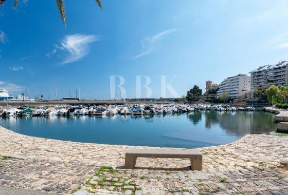 Penthouse · Available - Palma