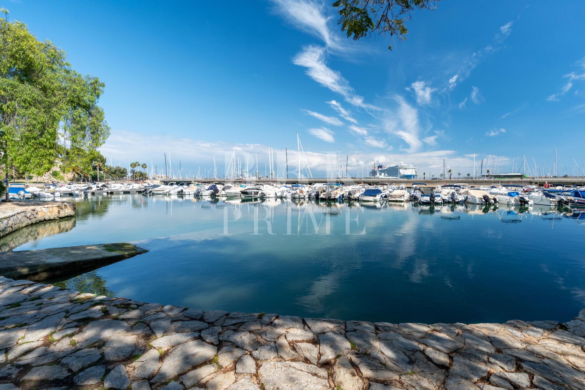 Available - Penthouse - Palma