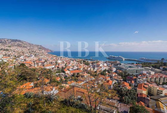 Available - Urban plot - Madeira