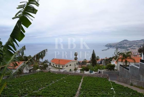 Urban plot · Available - Madeira
