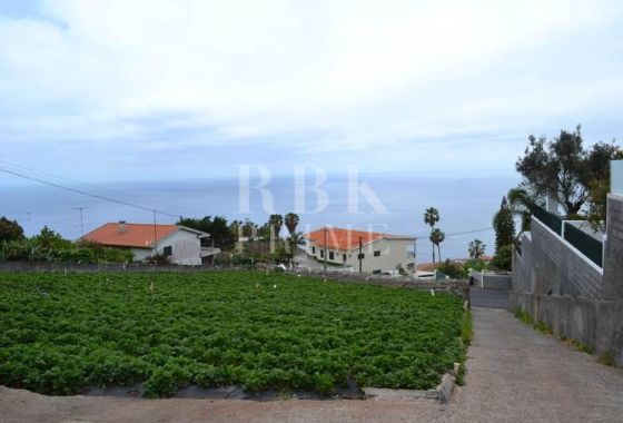 Urban plot · Available - Madeira