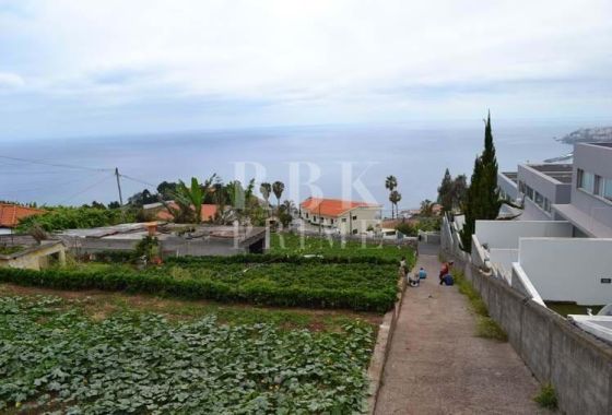 Urban plot · Available - Madeira