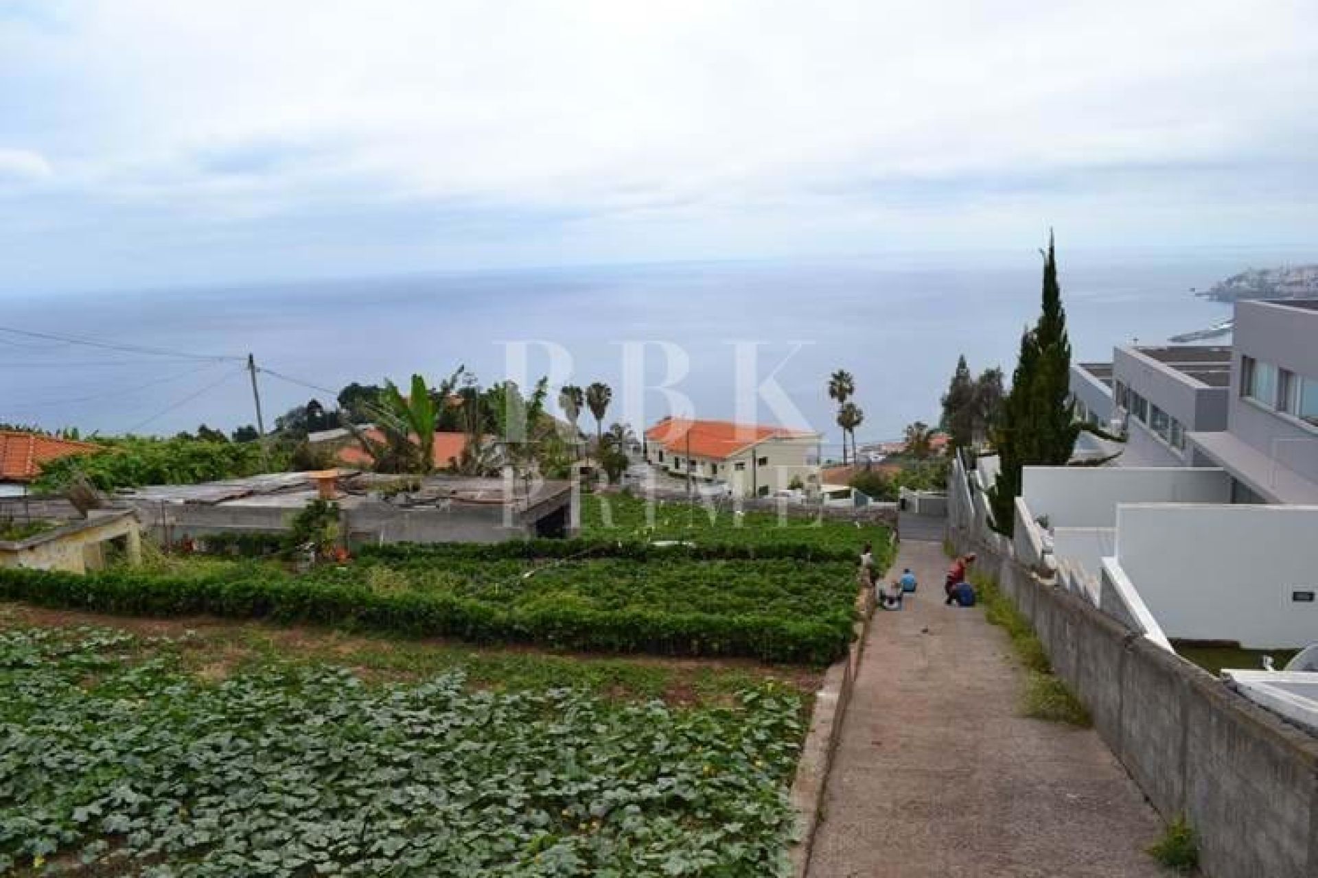 Available - 城市地块 - Madeira