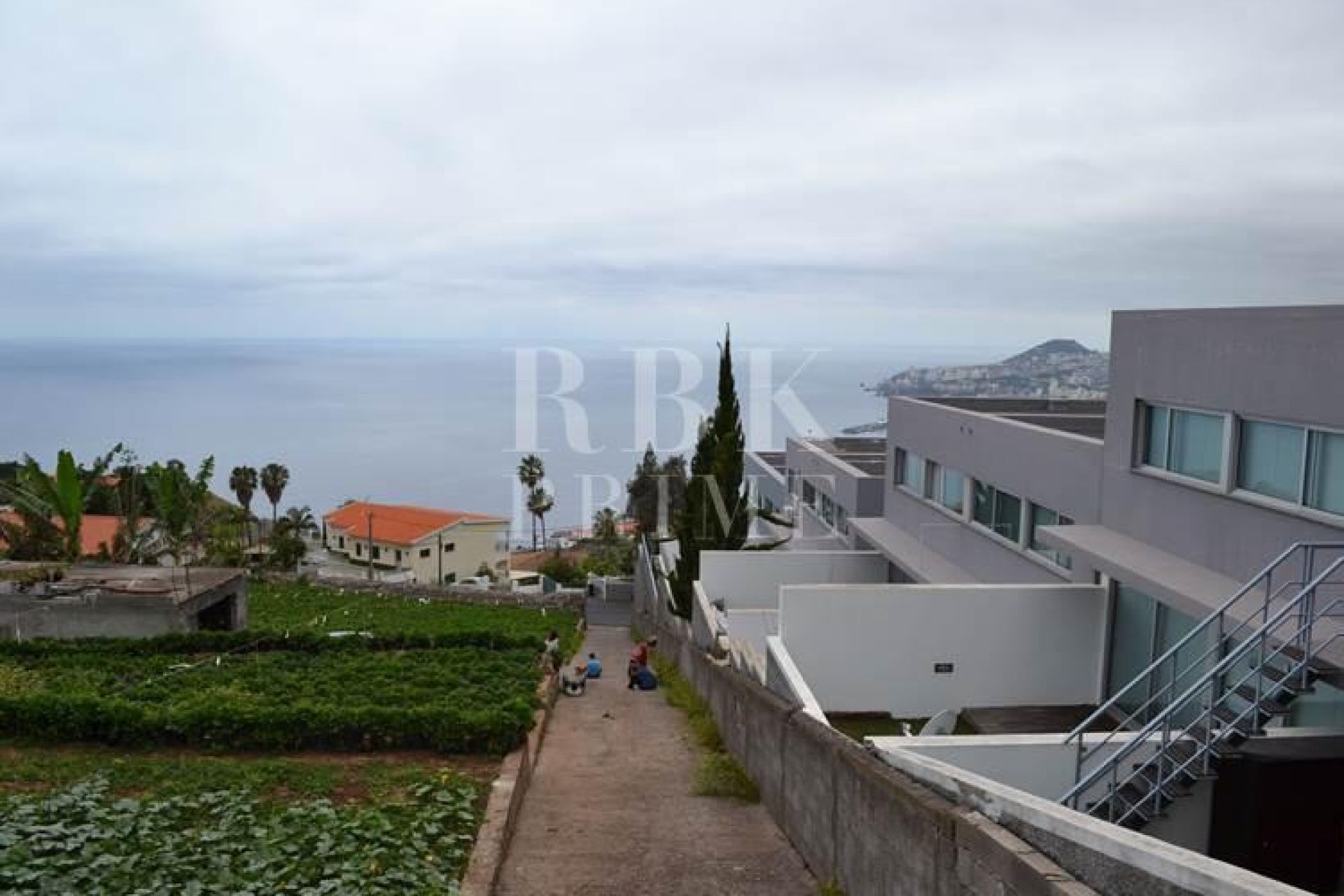 Available - 城市地块 - Madeira