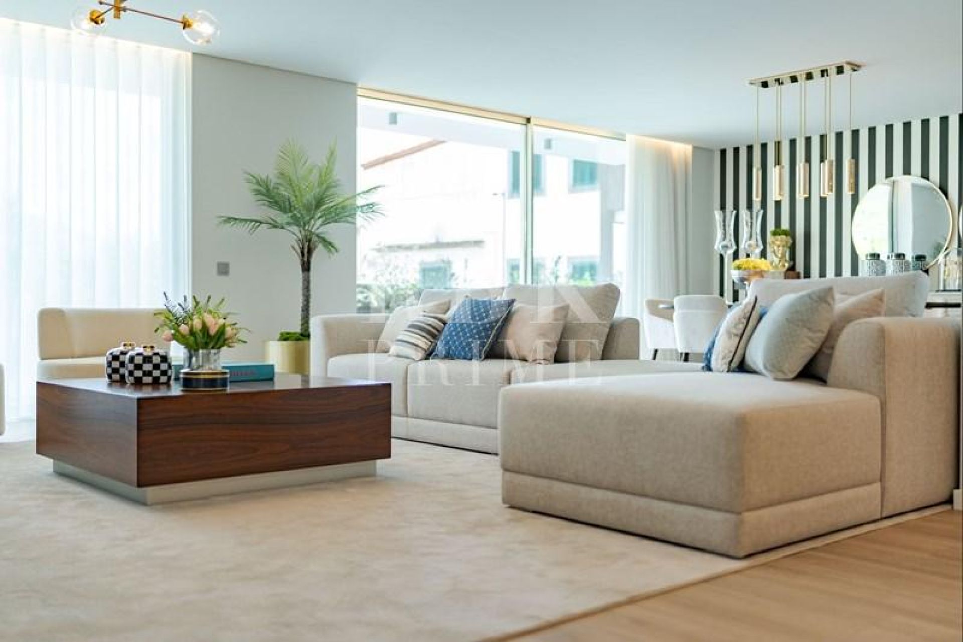 Available - Apartment - Madeira
