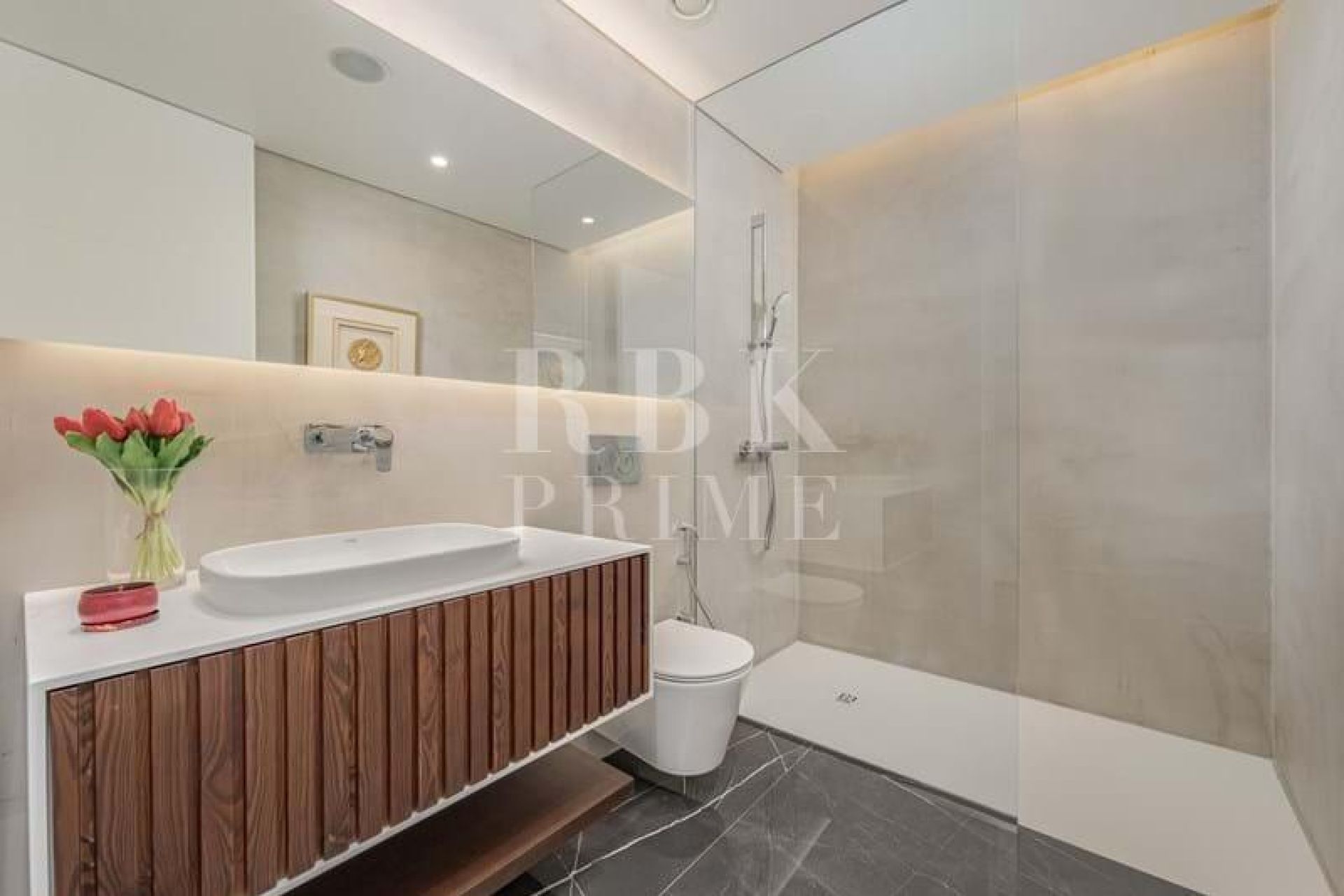Available - Apartment - Madeira