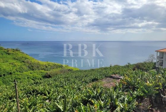 Urban plot · Available - Madeira