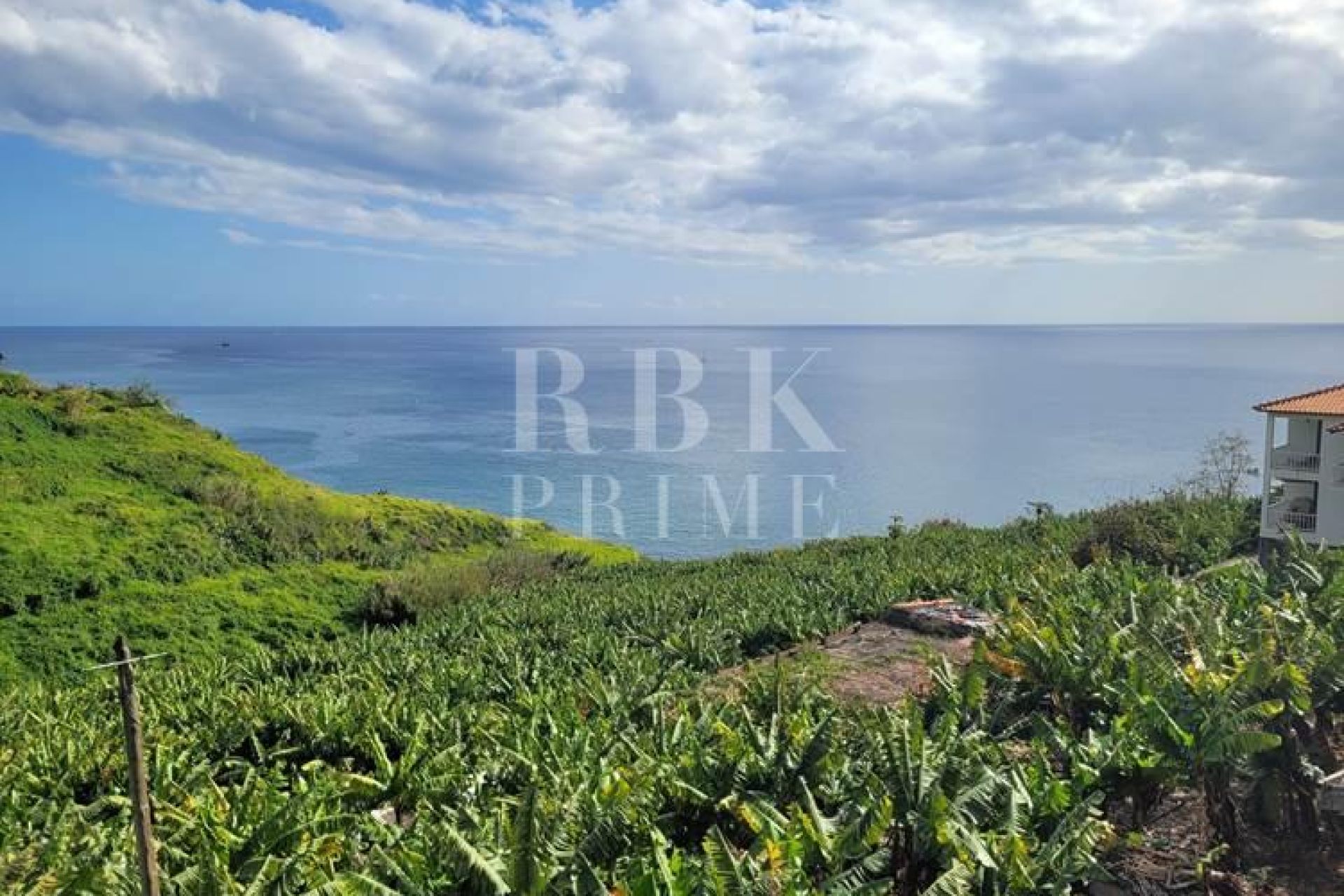 Available - 城市地块 - Madeira