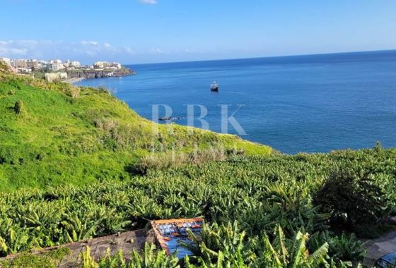 Urban plot · Available - Madeira