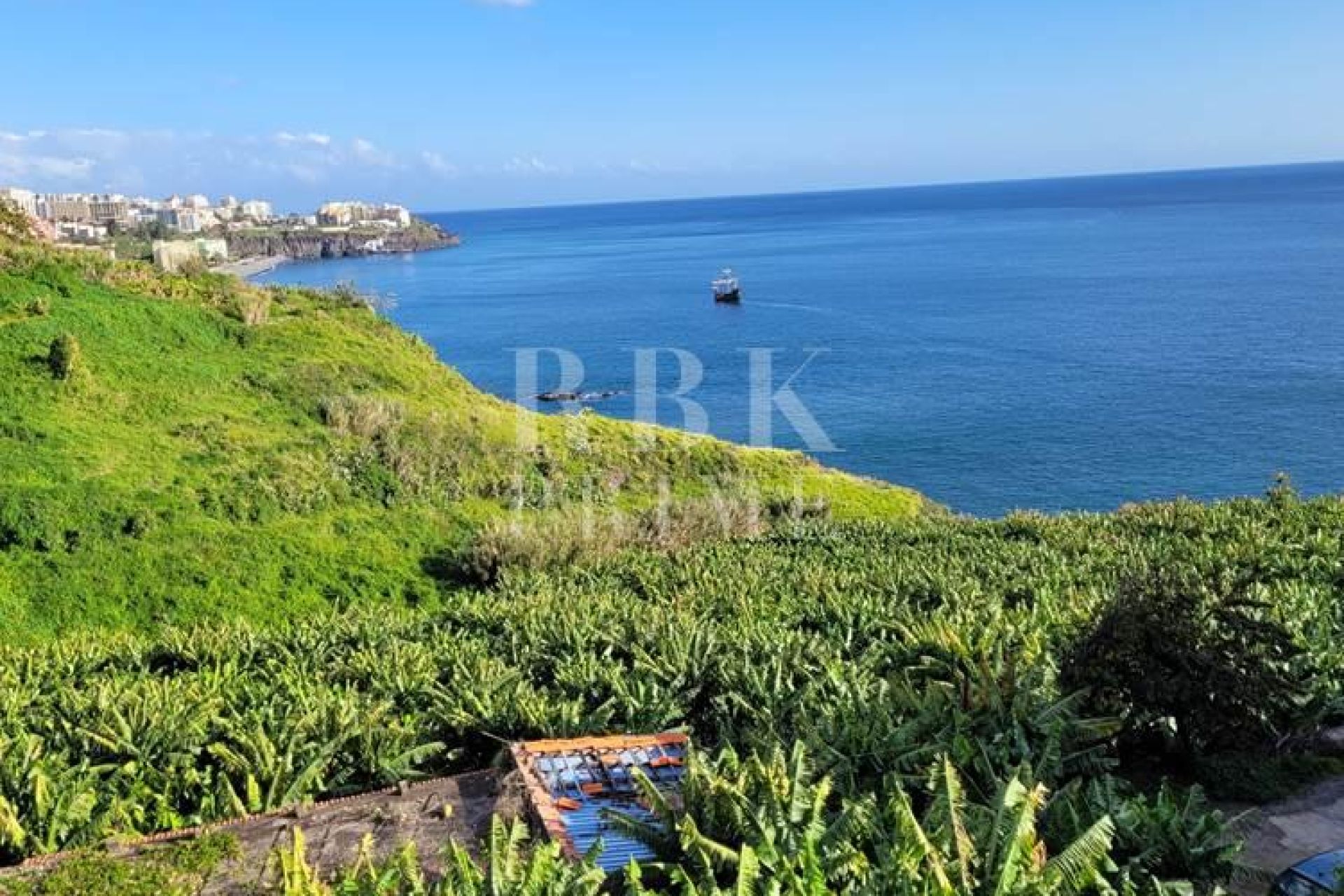 Available - 城市地块 - Madeira