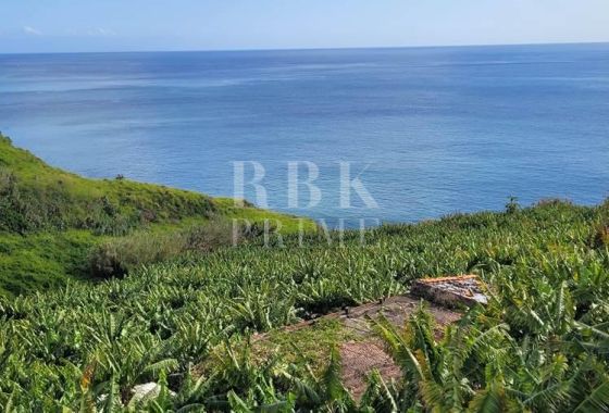 Urban plot · Available - Madeira