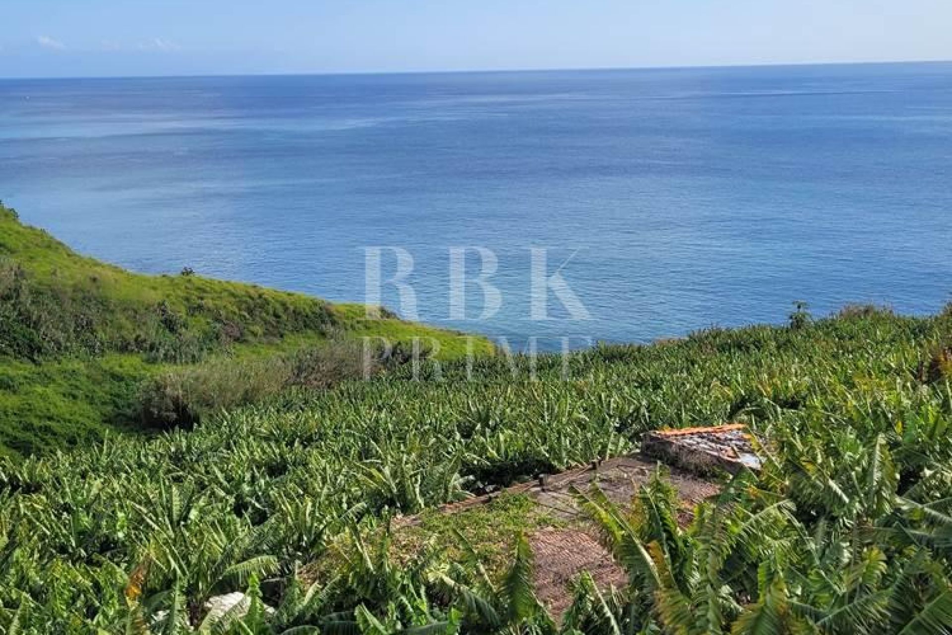 Available - 城市地块 - Madeira