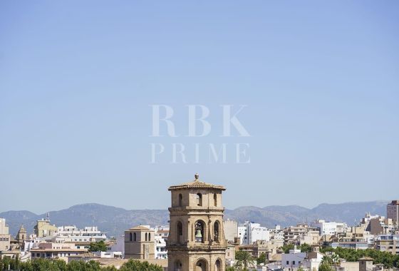 Apartment · Available - Palma