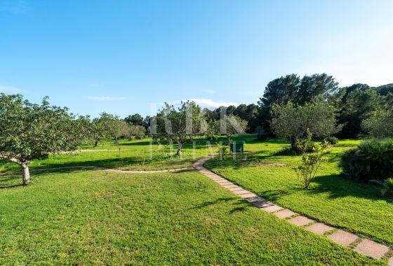 Available - Villa - Capdepera
