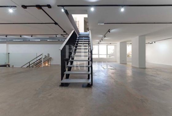 Business · Available - Palma