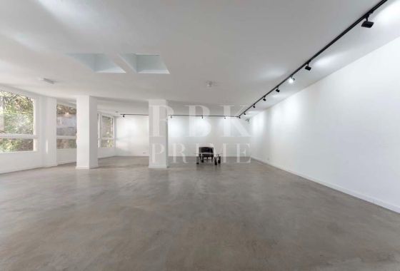 Business · Available - Palma