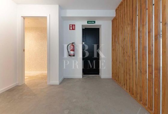 Business · Available - Palma
