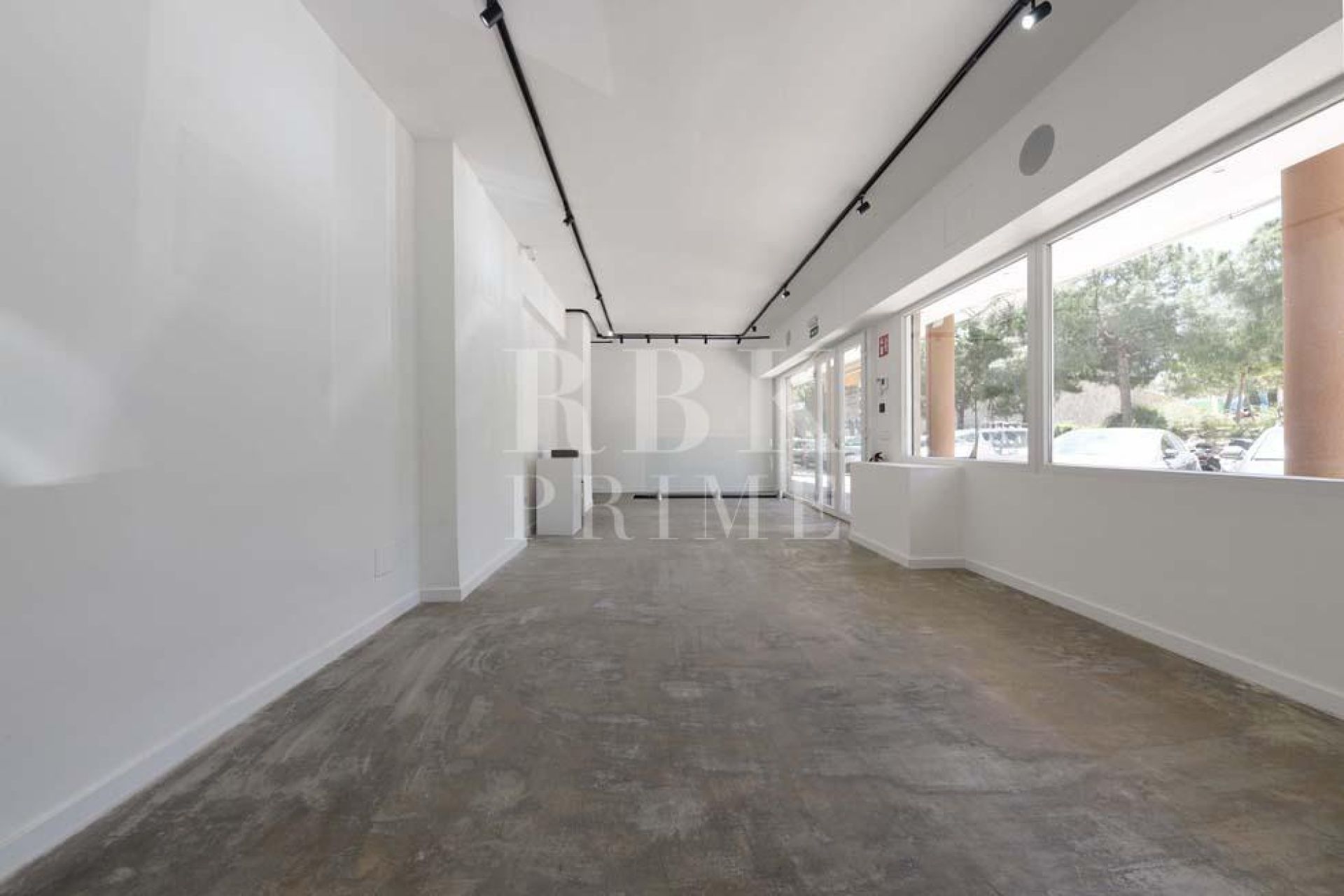 Available - Business - Palma