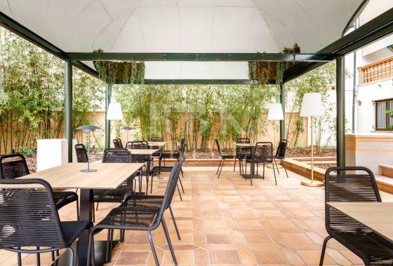 Palace · Available - Palma