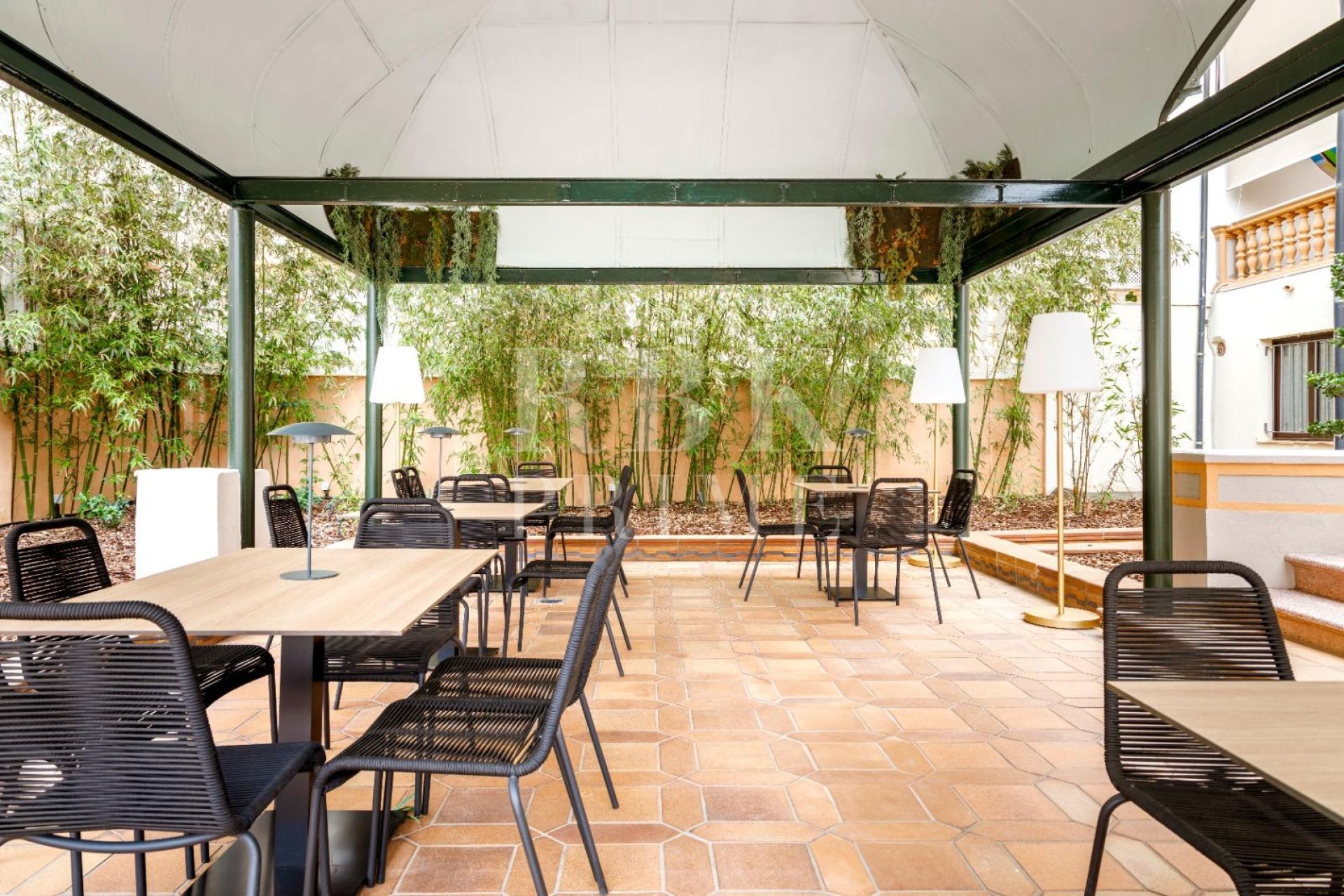 Available - Palace - Palma