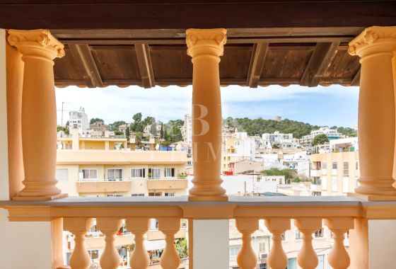 Palace · Available - Palma