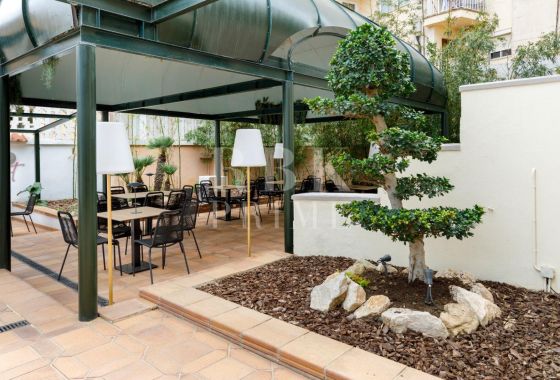 Palace · Available - Palma