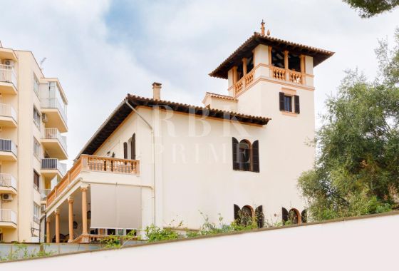 Palace · Available - Palma