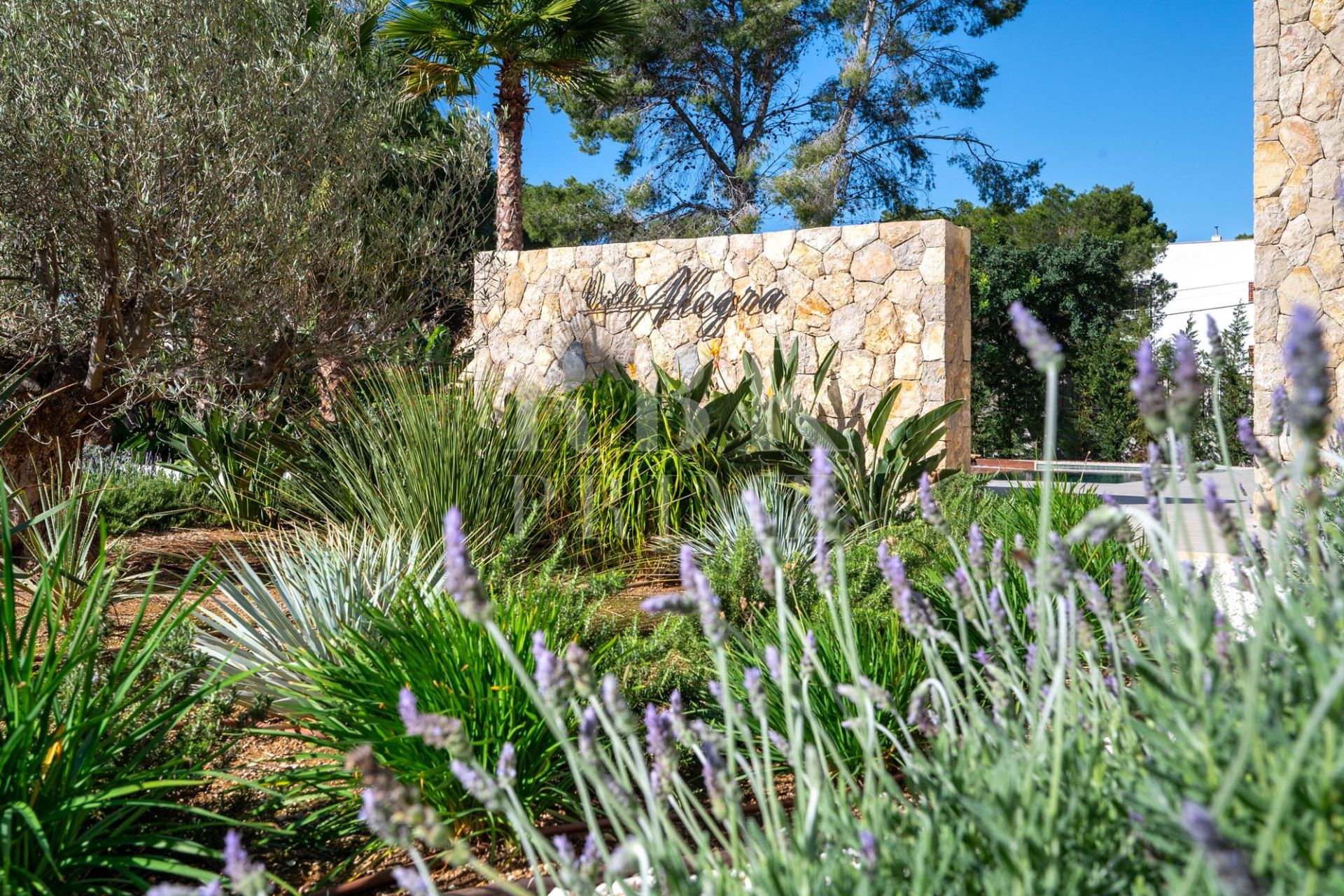 Available - Villa - Calvià