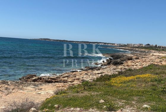 Available - Penthouse - Campos