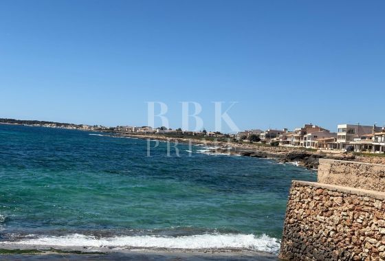 Available - Penthouse - Campos