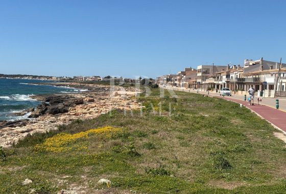Available - Penthouse - Campos