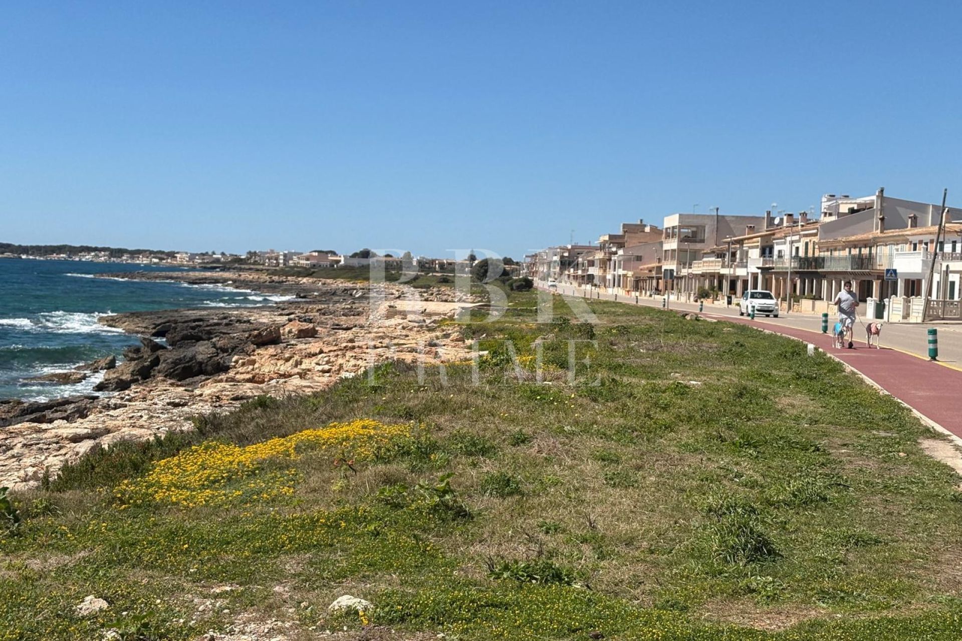 Available - Penthouse - Campos