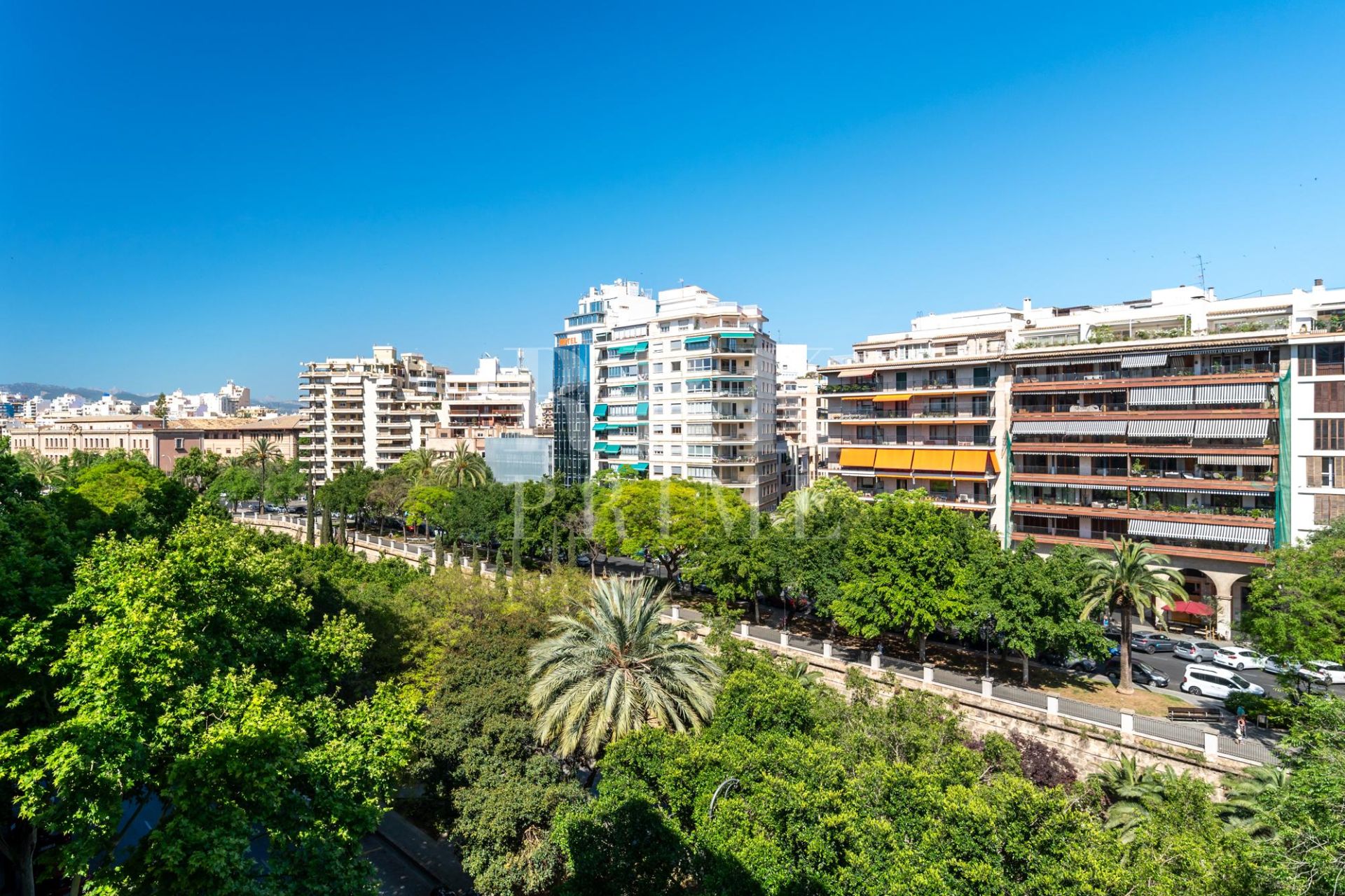 Long Term Rental Apartment in Palma urbano — Image 18