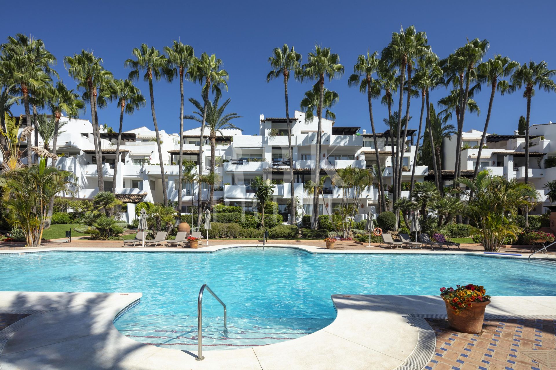 Available - Apartment - Marbella - Costa del Sol