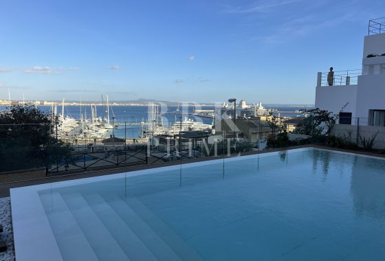 Apartment · Available - Palma