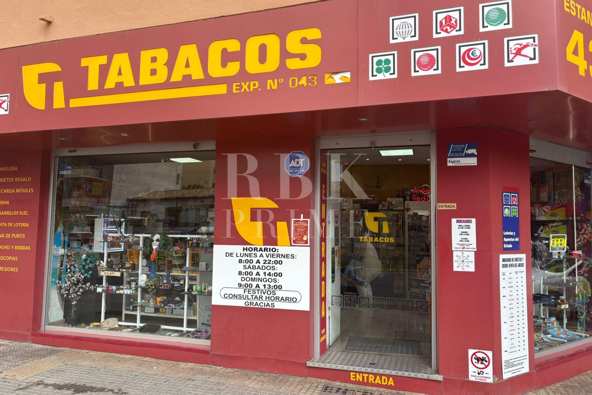 Available - Business - Palma