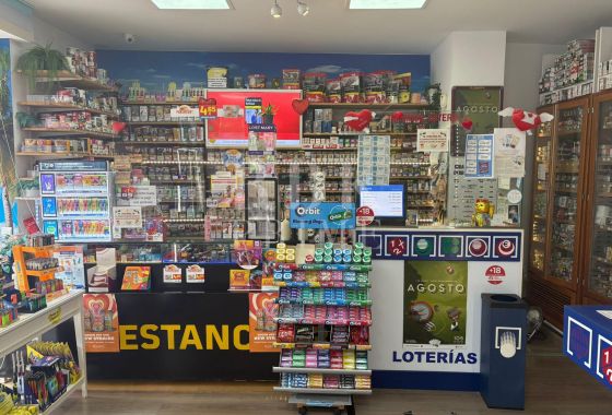Available - Business - Palma