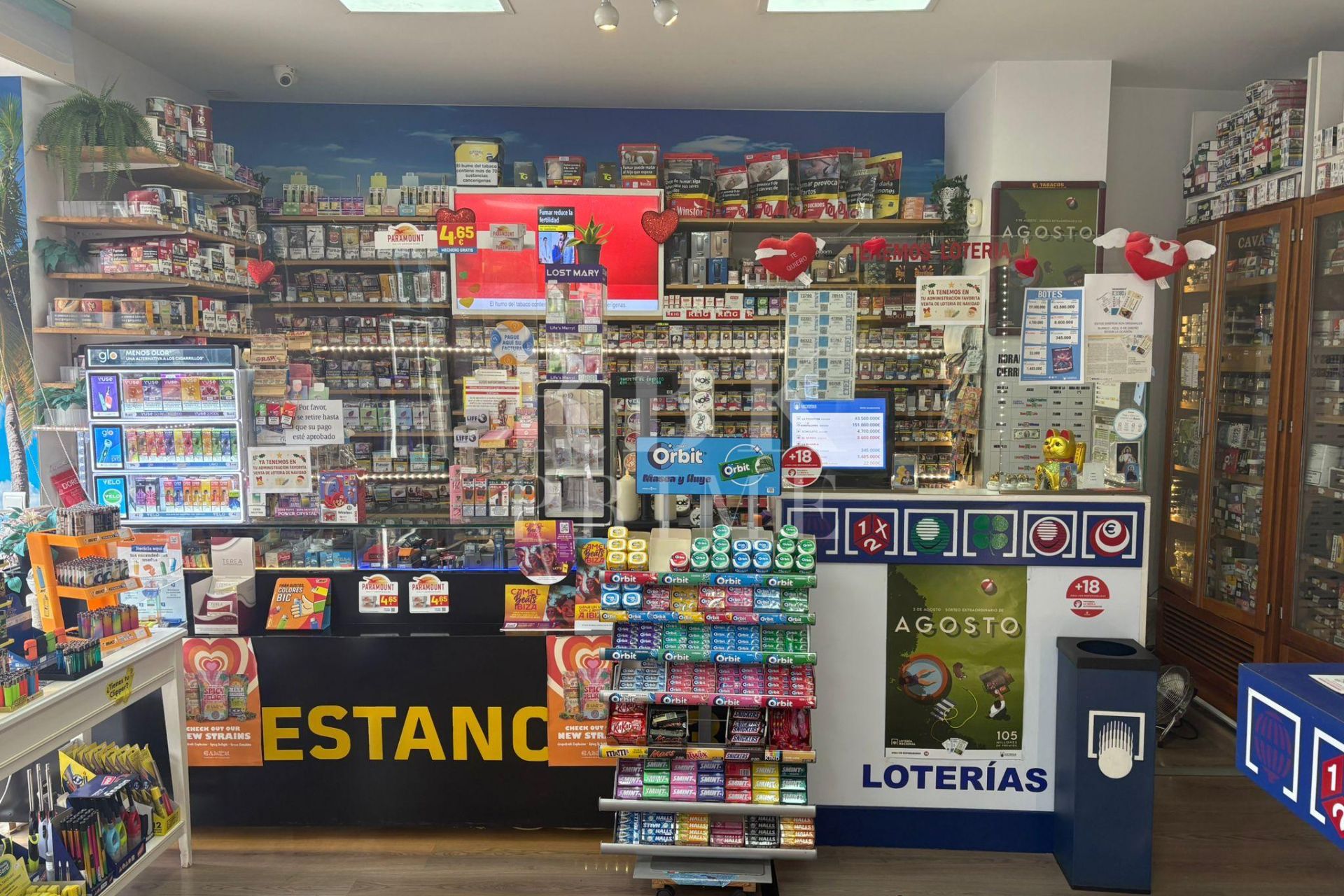Available - Business - Palma