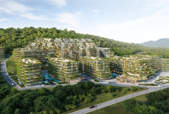 Available - Apartment - Phuket City Municipality