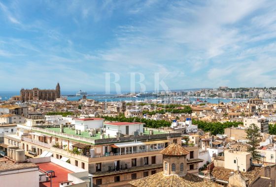 Penthouse · Available - Palma