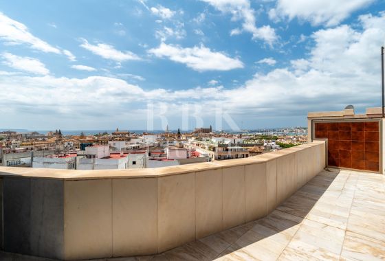 Penthouse · Available - Palma