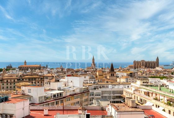 Penthouse · Available - Palma