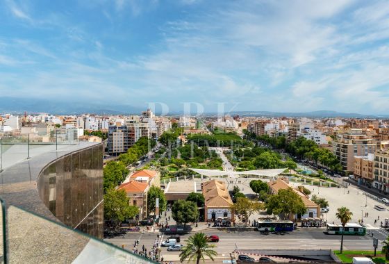 Penthouse · Available - Palma